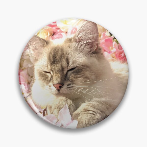 Item preview, Saoirse the lynx ragdoll cat designed and sold by Fluffycat2020.