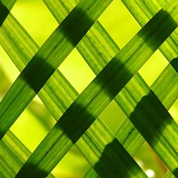 Artwork thumbnail, Green grass pattern by RBDESIGN SHOP