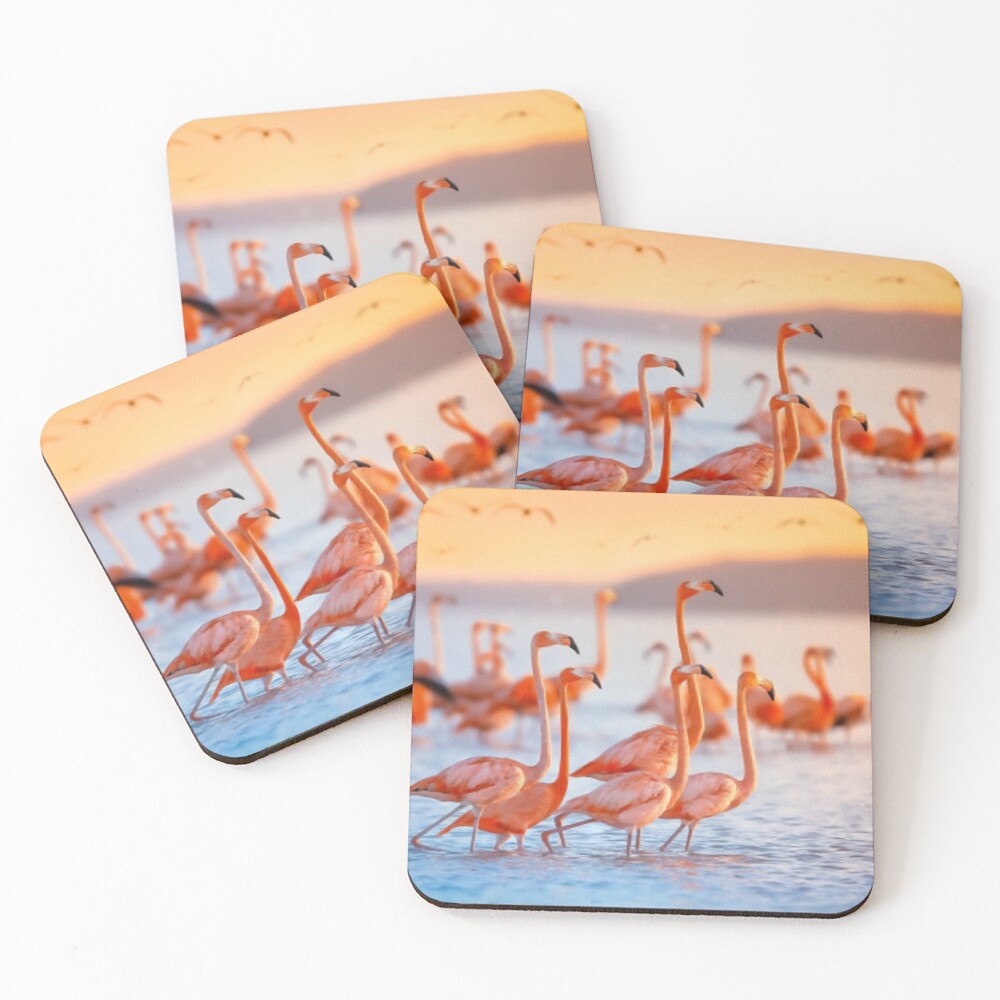 Item preview, Coasters (Set of 4) designed and sold by RBCOOLSHOP.