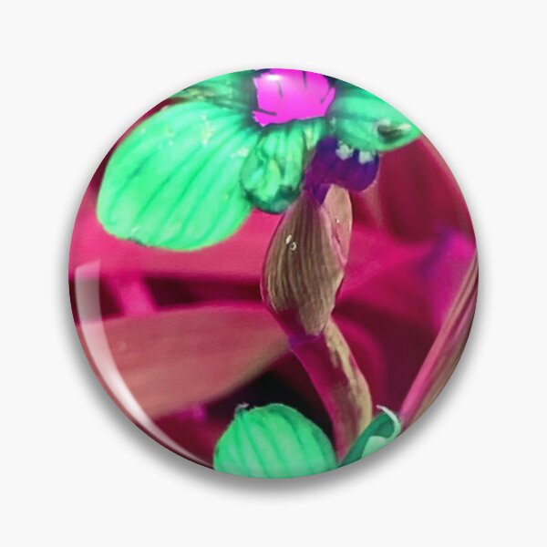 Item preview, Bermudians designed and sold by TriangleCo.