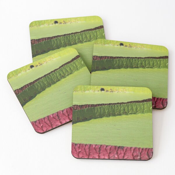 Item preview, Water lily  designed and sold by gtallman.