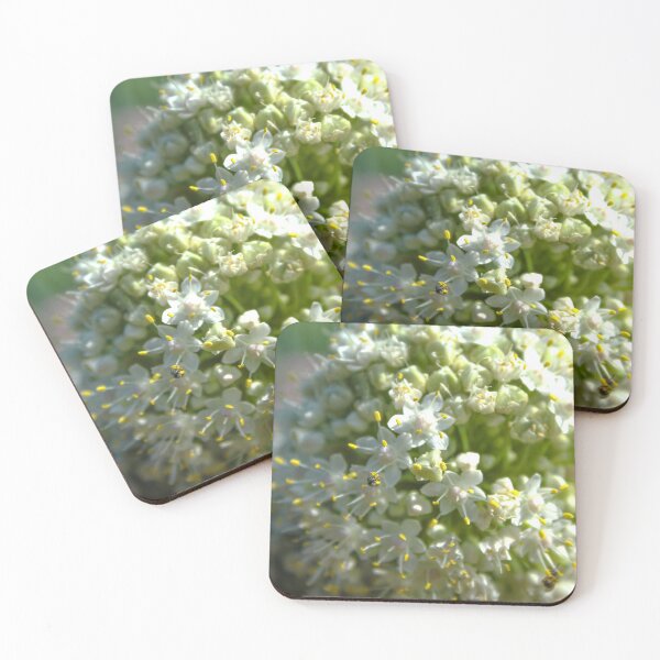 Item preview, Snow ball plant designed and sold by gtallman.