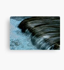 Froth & Fibre Canvas Print