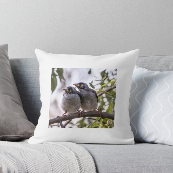 Item preview, Noisy Minor Chicks Wait For a Feed designed and sold by pcbermagui.