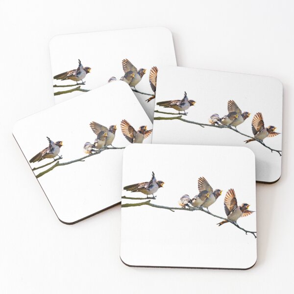 Item preview, Swallows, called Xuanniao in ancient times, are inextricably linked with humans. The so-called "Xuanniao empty nest language, designed and sold by zenger2021.