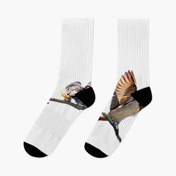Item preview, Swallows, called Xuanniao in ancient times, are inextricably linked with humans. The so-called "Xuanniao empty nest language, designed and sold by zenger2021.