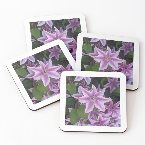 Item preview, Clematis designed and sold by AmysPics.