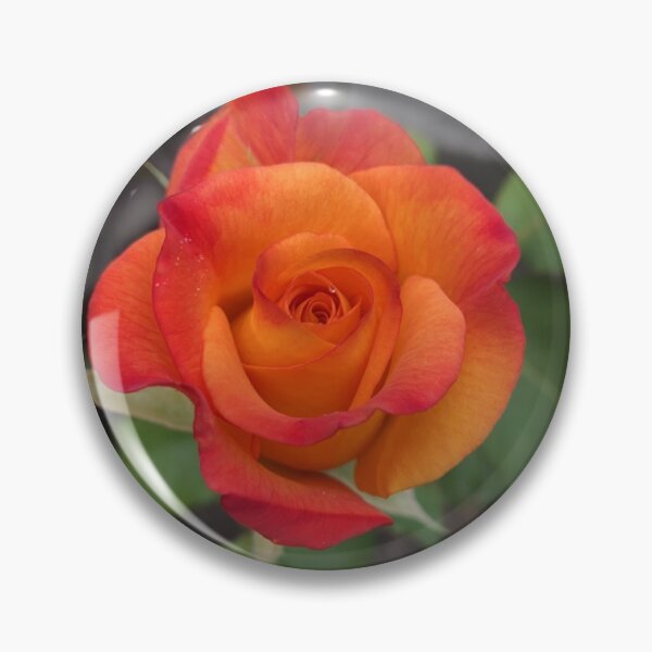 Item preview, Peachy Rose designed and sold by happinessofmind.