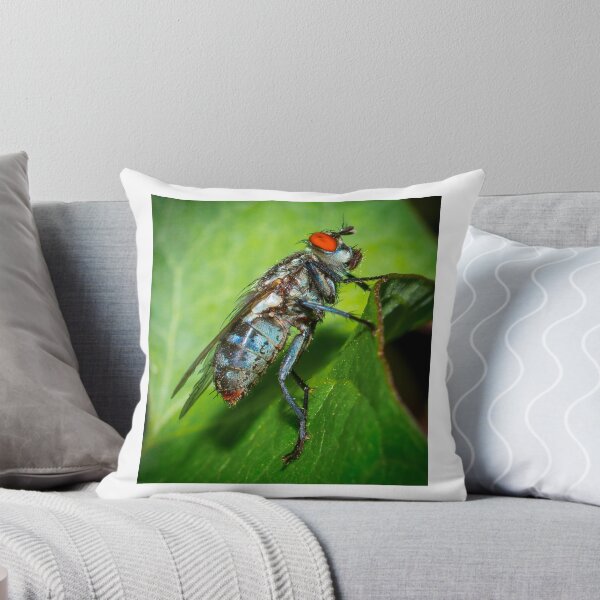 Item preview, Fly designed and sold by RandyHume.