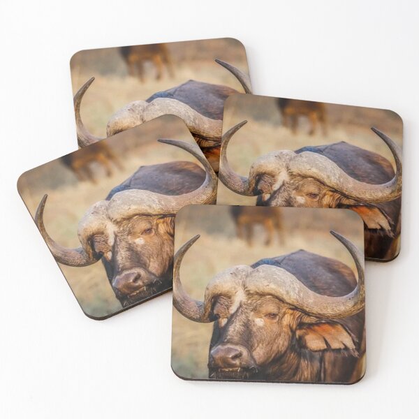 Item preview, African buffalo designed and sold by RBDESIGN SHOP.