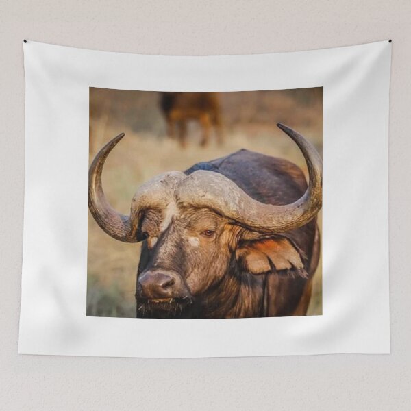Item preview, African buffalo designed and sold by RBDESIGN SHOP.