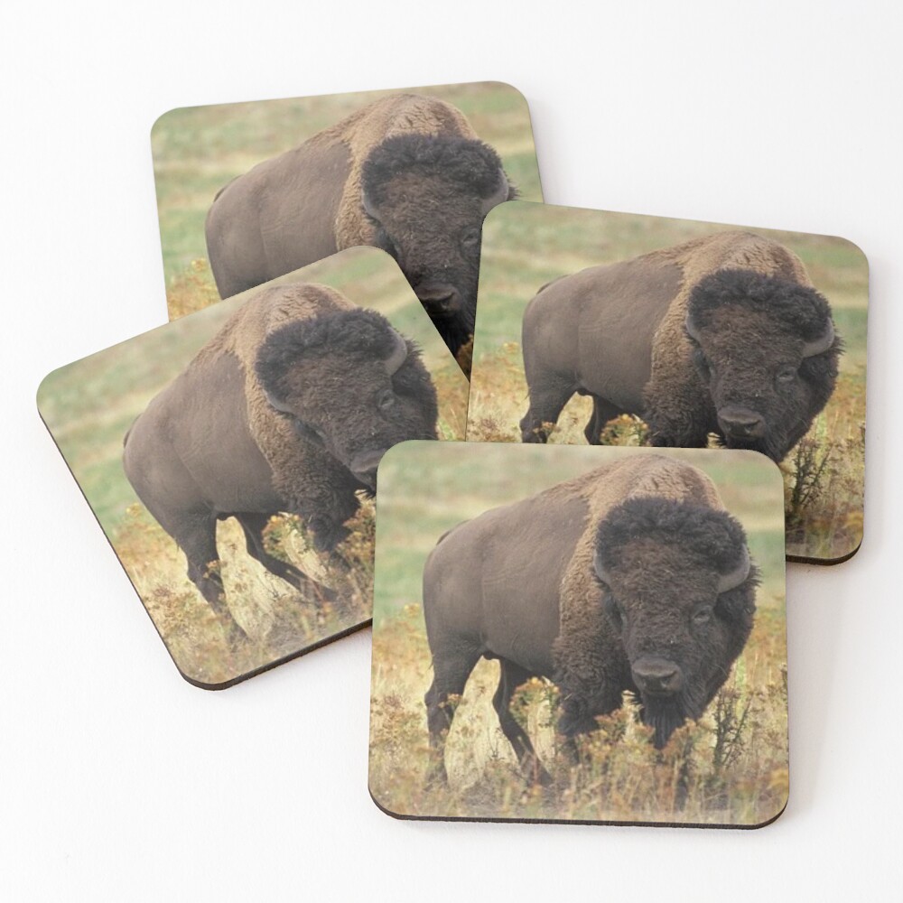 Item preview, Coasters (Set of 4) designed and sold by RBCOOLSHOP.