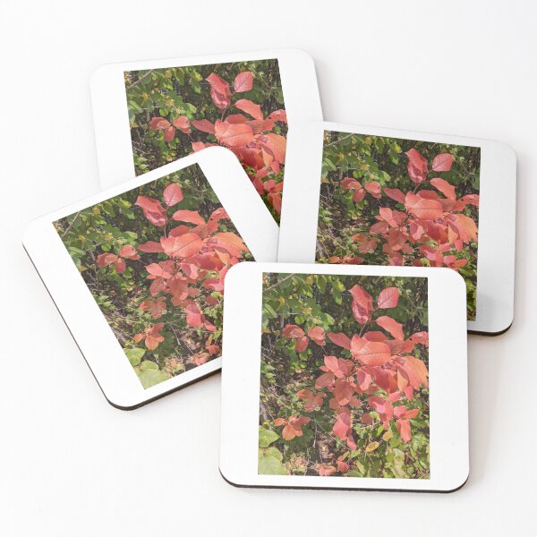 Item preview, Contrasting Plants designed and sold by Artemischo.