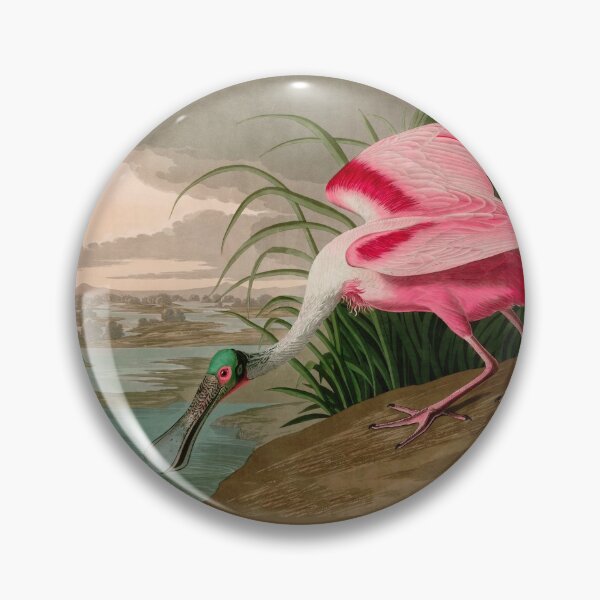 Item preview, Roseate Spoonbill Birds of America Audubon Illustration Bird Lovers Gift designed and sold by VintageArchive.