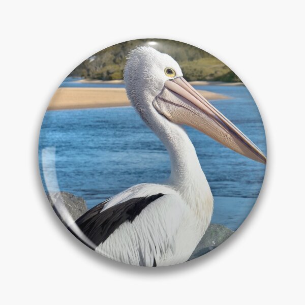 Item preview, Pelican Tuncurry 95 designed and sold by kevin Chippindall.