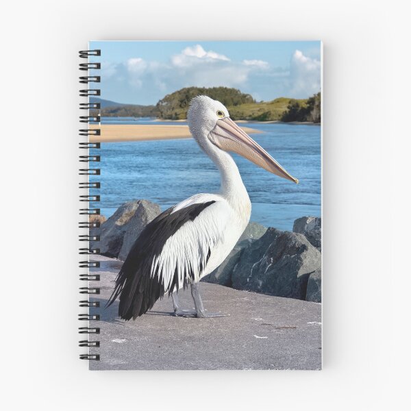 Item preview, Pelícano Tuncurry 95 designed and sold by kevin Chippindall.