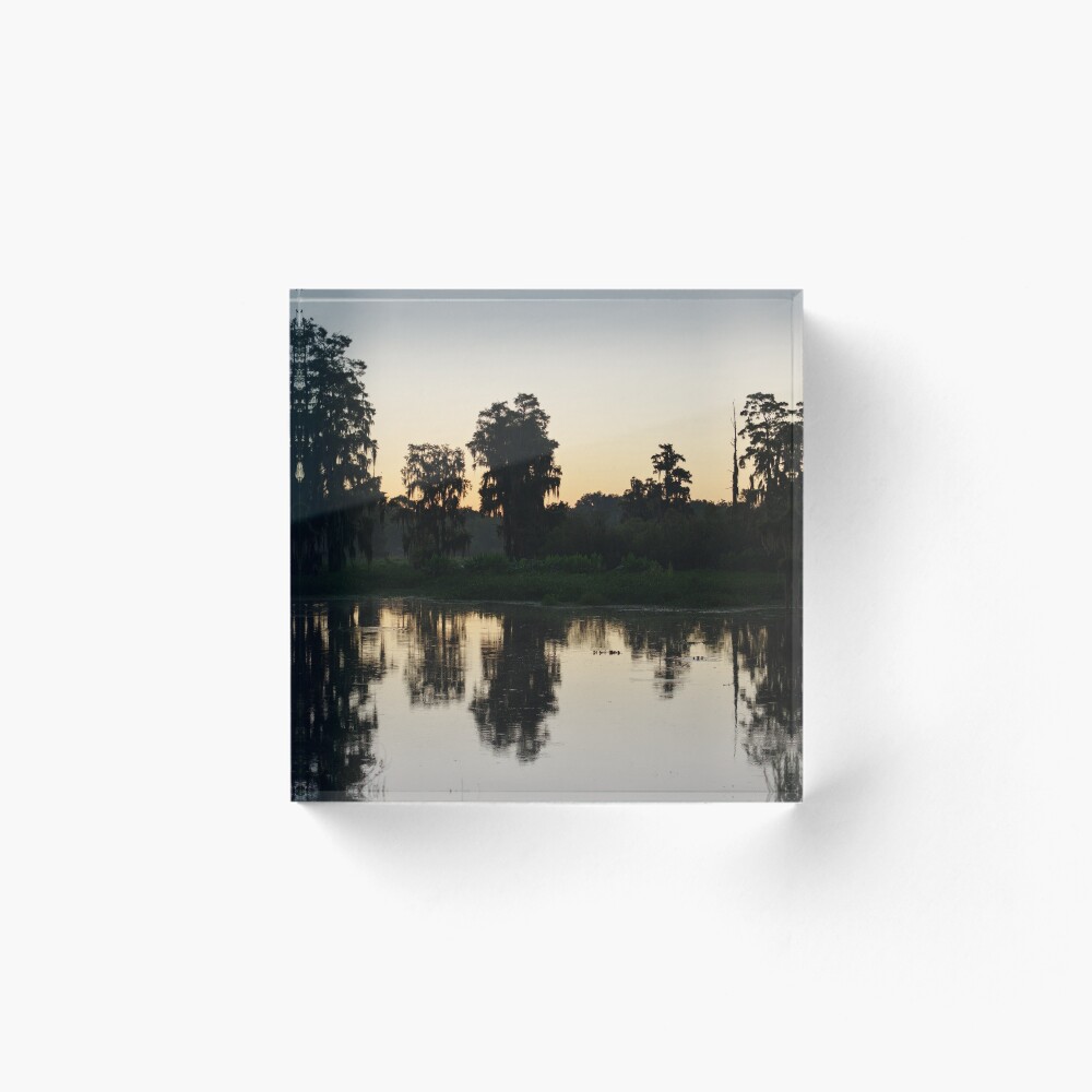 Item preview, Acrylic Block designed and sold by InhumanImaging.