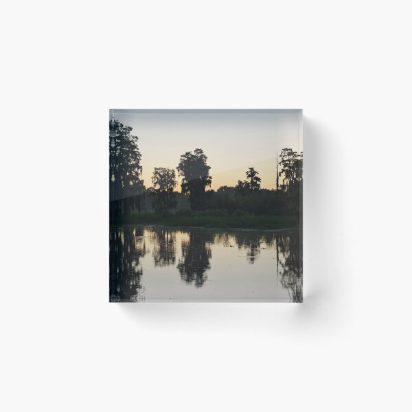 Item preview, The Golden Hour designed and sold by InhumanImaging.