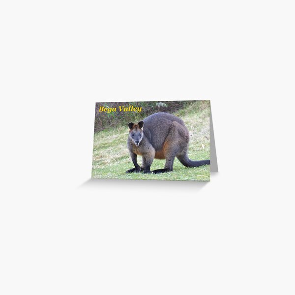 Item preview, Wallaby. NSW, Australia designed and sold by CobargoInfo.