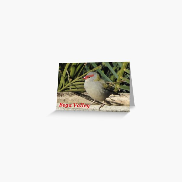 Item preview, Red Browed Finch. NSW, Australia designed and sold by CobargoInfo.
