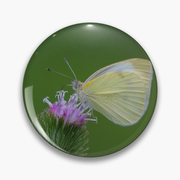 Item preview, Cabbage White Butterfly designed and sold by HectorCantres.
