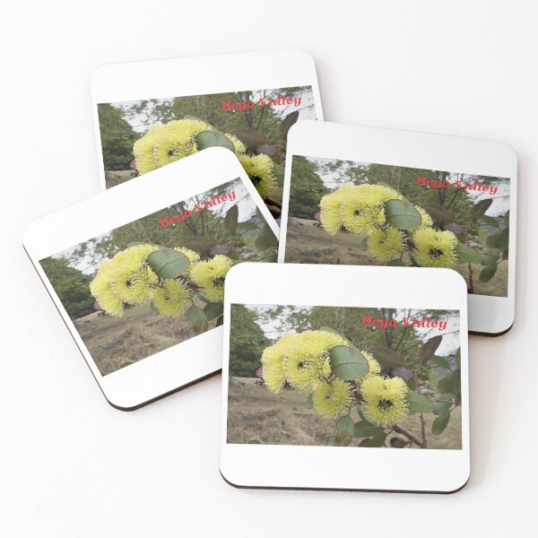 Item preview, Eucalyptus blossoms, NSW, Australia designed and sold by Cobargo South Coast.