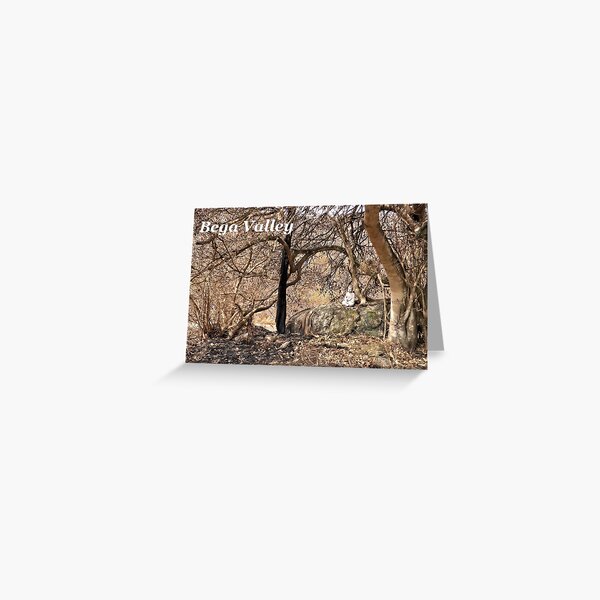 Item preview, 2019-2020 Bushfires, NSW, Australia designed and sold by CobargoInfo.