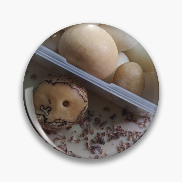 Item preview, Loving Tagua Nuts designed and sold by Artemischo.