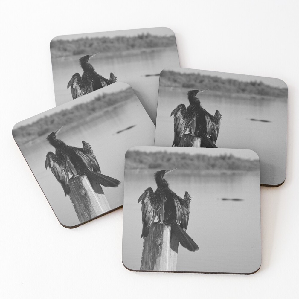 Item preview, Coasters (Set of 4) designed and sold by InhumanImaging.