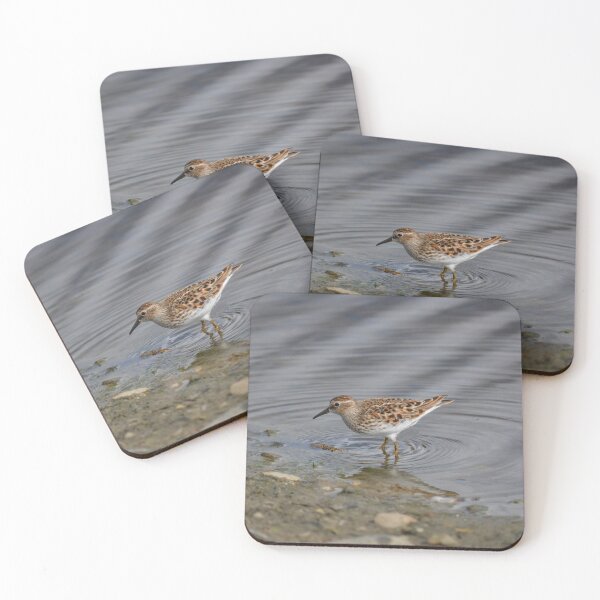 Item preview, Least Sandpiper makes ripples in the pond designed and sold by birdsofthePNW.