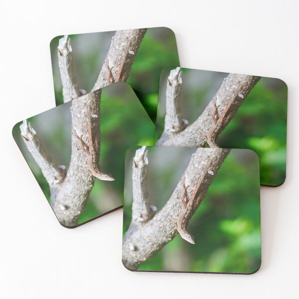 Item preview, Brown Anole designed and sold by Emmaline Jones.