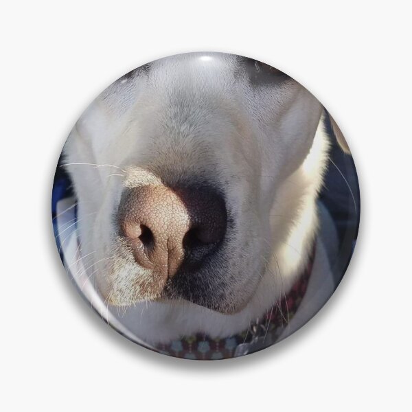 Item preview, Labradors designed and sold by ColorMeCute.