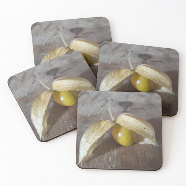 Item preview, Cape Gooseberry on Rustic Wood Table designed and sold by Beachy.