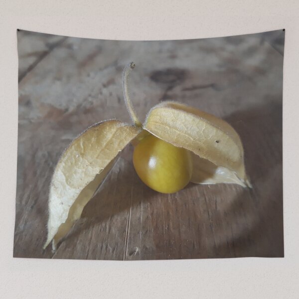 Item preview, Cape Gooseberry on Rustic Wood Table designed and sold by Beachy.