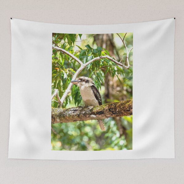 Item preview, Another Kookaburra Photograph designed and sold by Peter Hocking.