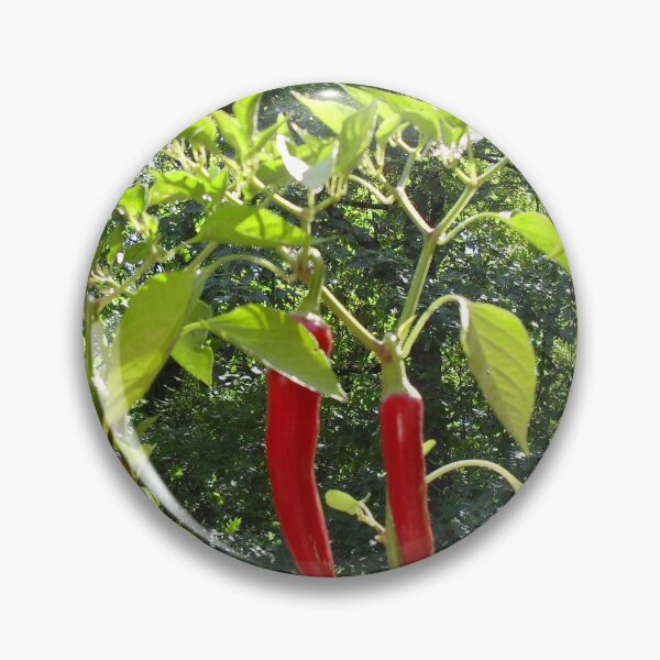 Item preview, Beauty of Red Peppers designed and sold by MulesParty.