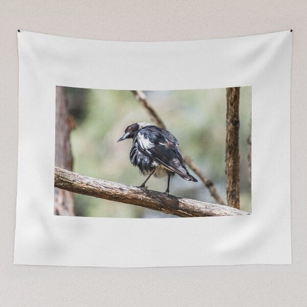 Item preview, Australian Magpie designed and sold by Peter Hocking.