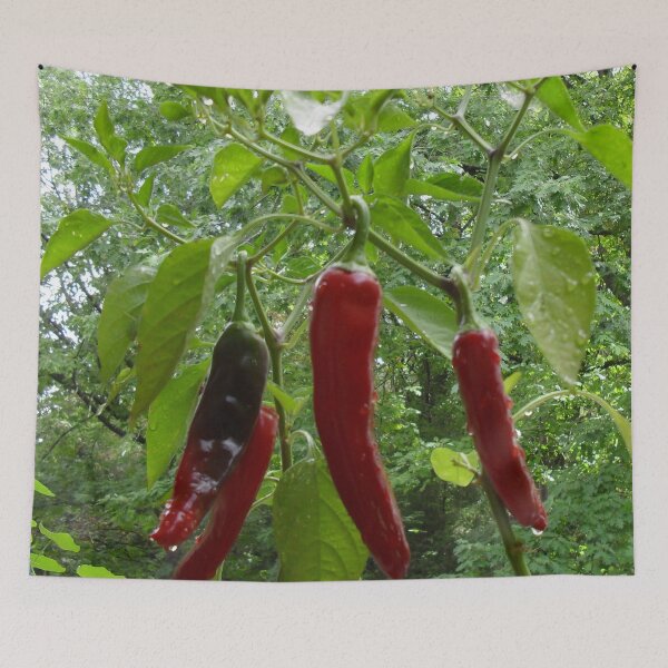 Item preview, The Beauty of the Red Peppers with Morning Dew designed and sold by MulesParty.