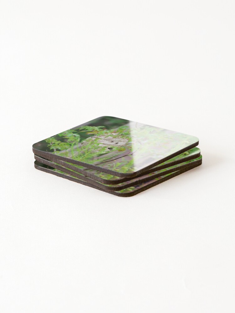 Thumbnail 4 of 5, Coasters (Set of 4), Aggressive Defenders designed and sold by InhumanImaging.