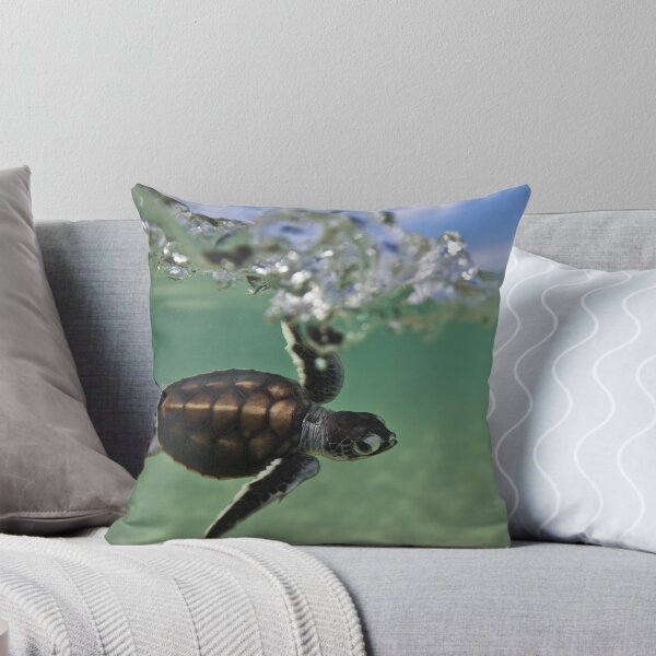 Item preview, Tortuga ninja de surf para bebés designed and sold by David Wachenfeld.
