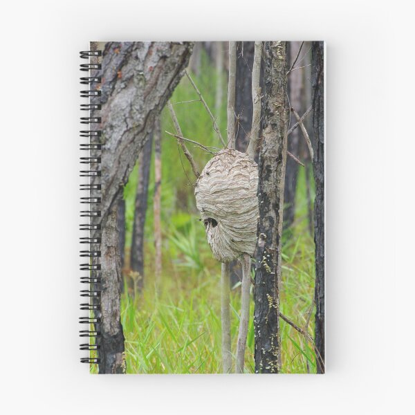 Item preview, Rain or Shine designed and sold by InhumanImaging.