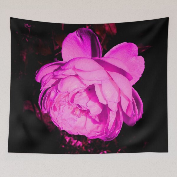 Item preview, Pink Rose designed and sold by fowons.