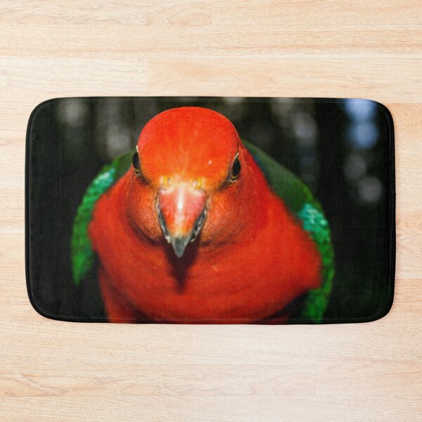 Item preview, A brightly coloured red and grey King Parrot bird leaning into the camera lens designed and sold by James-Cole.