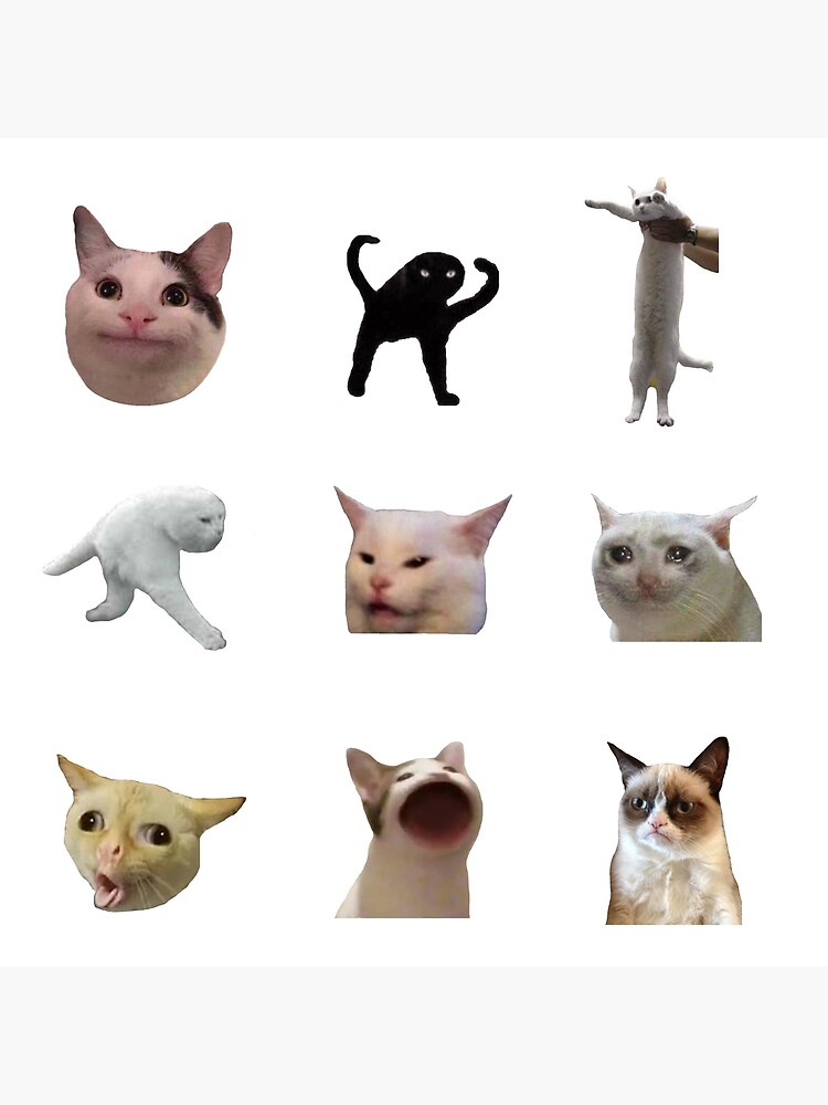 Meme Cats Sticker Pack Poster For Sale By Caths Designs Redbubble