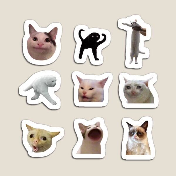 Meme Cats Sticker Pack Magnet