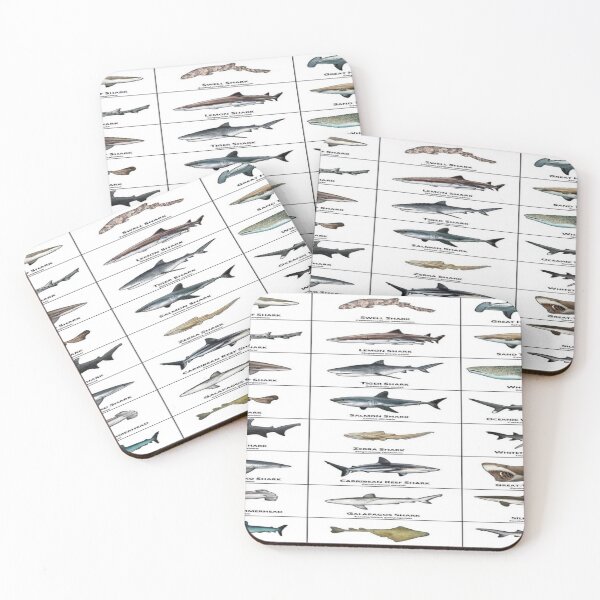 Item preview, Atlantic shark chart designed and sold by Dubage603.