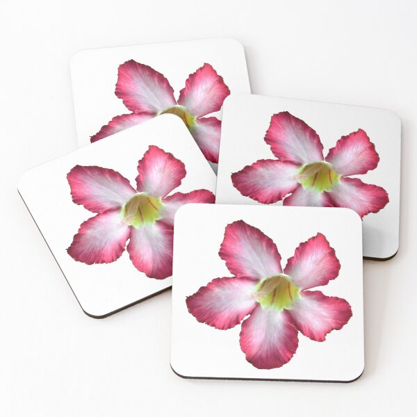 Item preview, Desert rose/blooming beauty designed and sold by VeenaNair23.