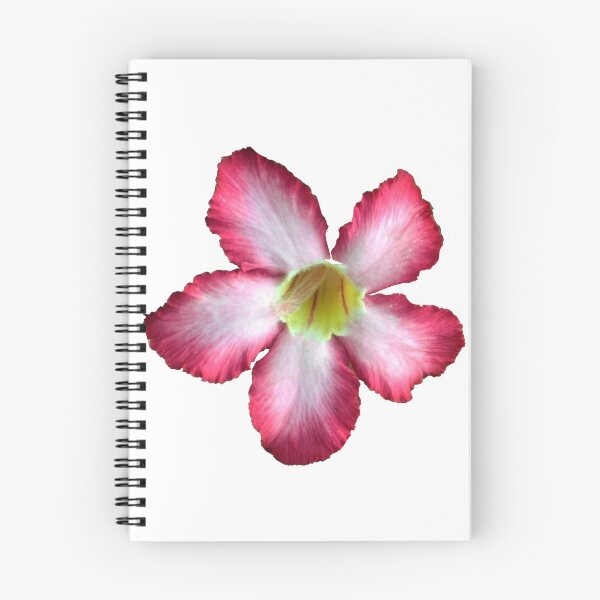 Item preview, Desert rose/blooming beauty designed and sold by VeenaNair23.