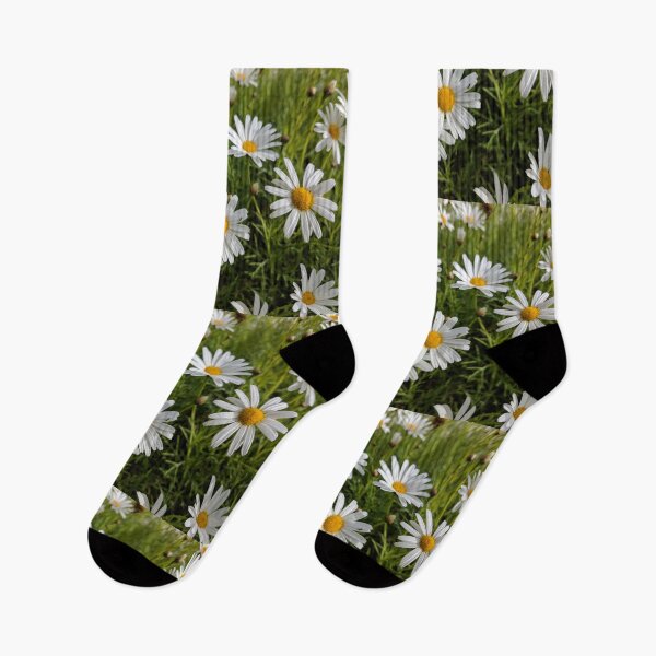 Item preview, White daisy designed and sold by Rebecca-Art.