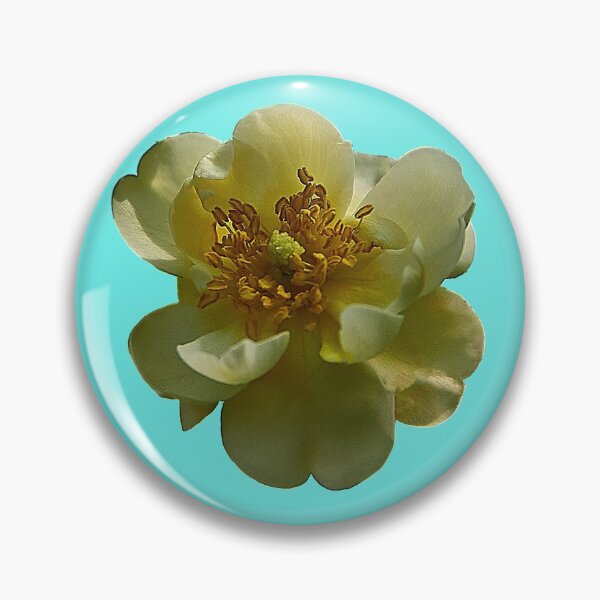 Item preview, Yellow rose designed and sold by Babbler01.
